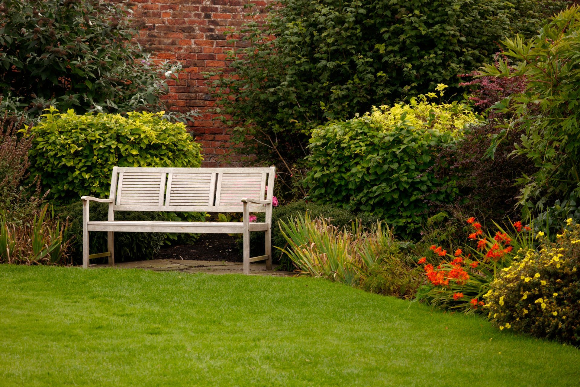 A wooden bench is sitting in the middle of a lush green garden.
