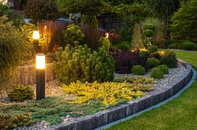 A garden with lots of plants and trees is lit up at night.