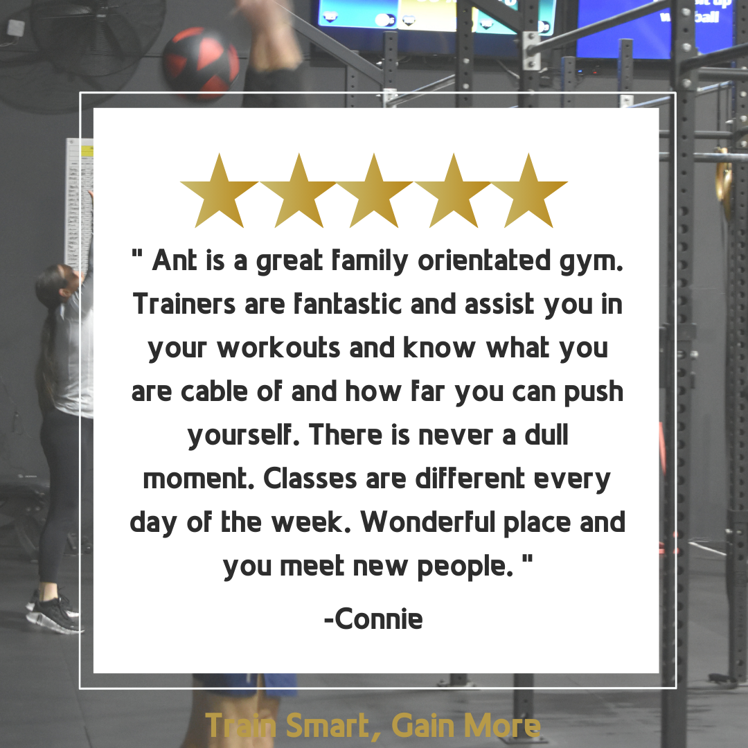 A review of ant is a great family orientated gym