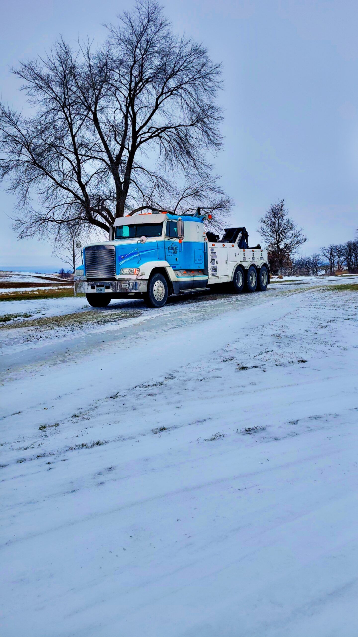 Blue truck parked on a snowy roadside beside a bare tree under an overcast sky