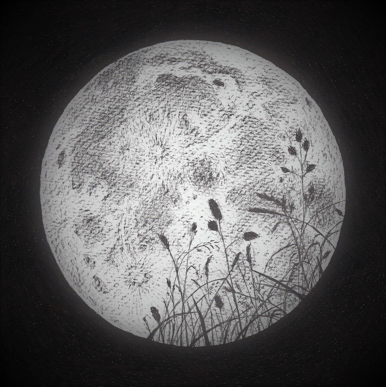 volle maan