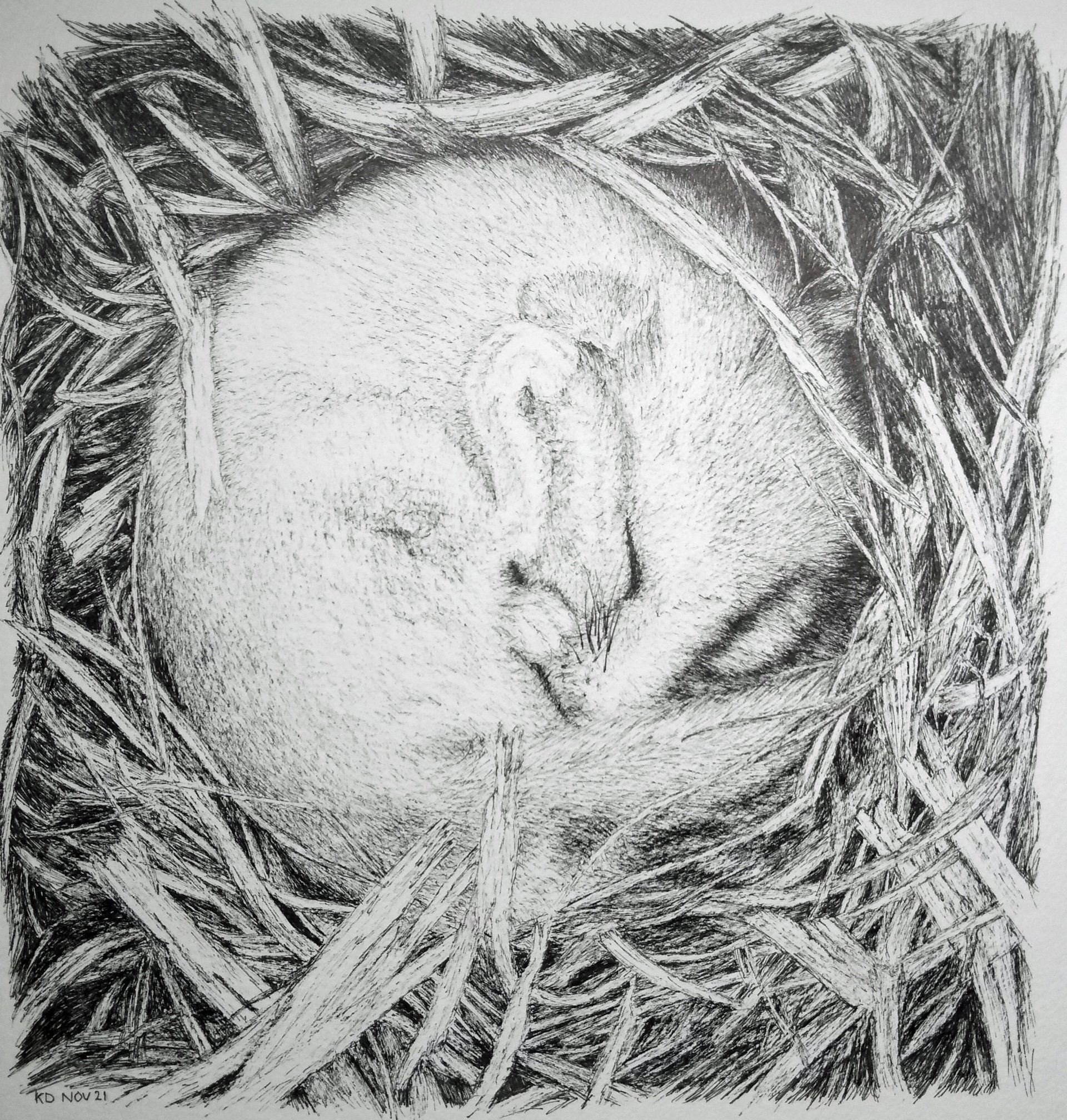 hazelmuis 3