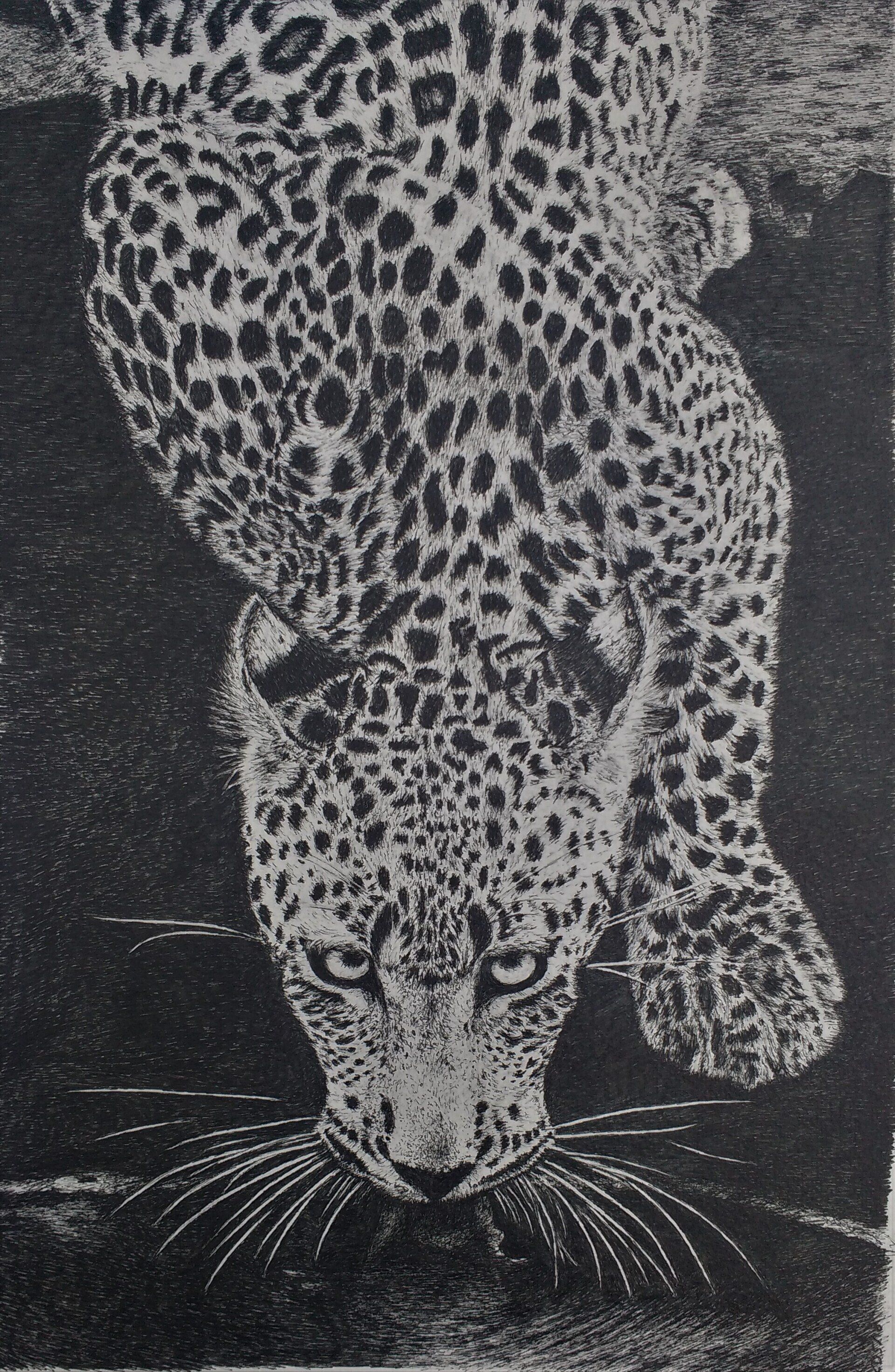 panter 1