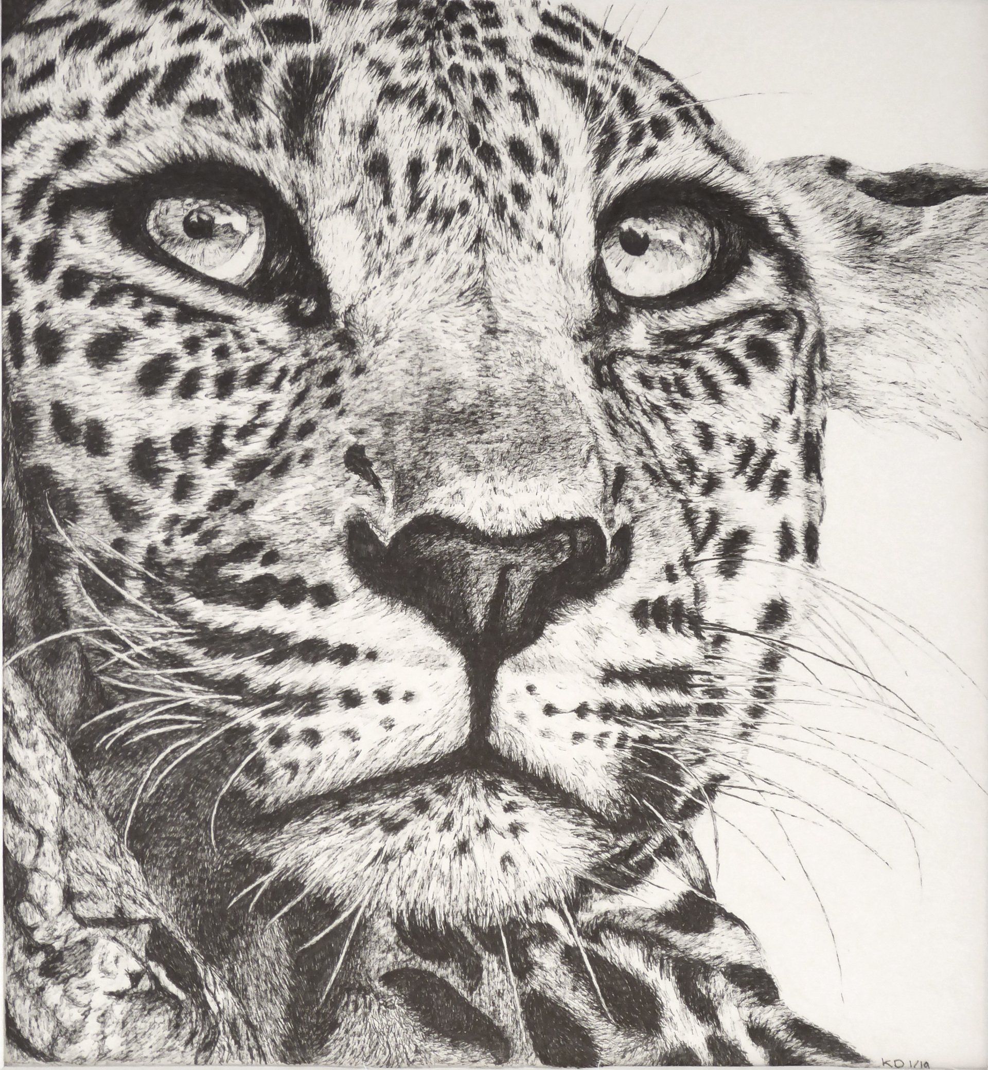panter 2