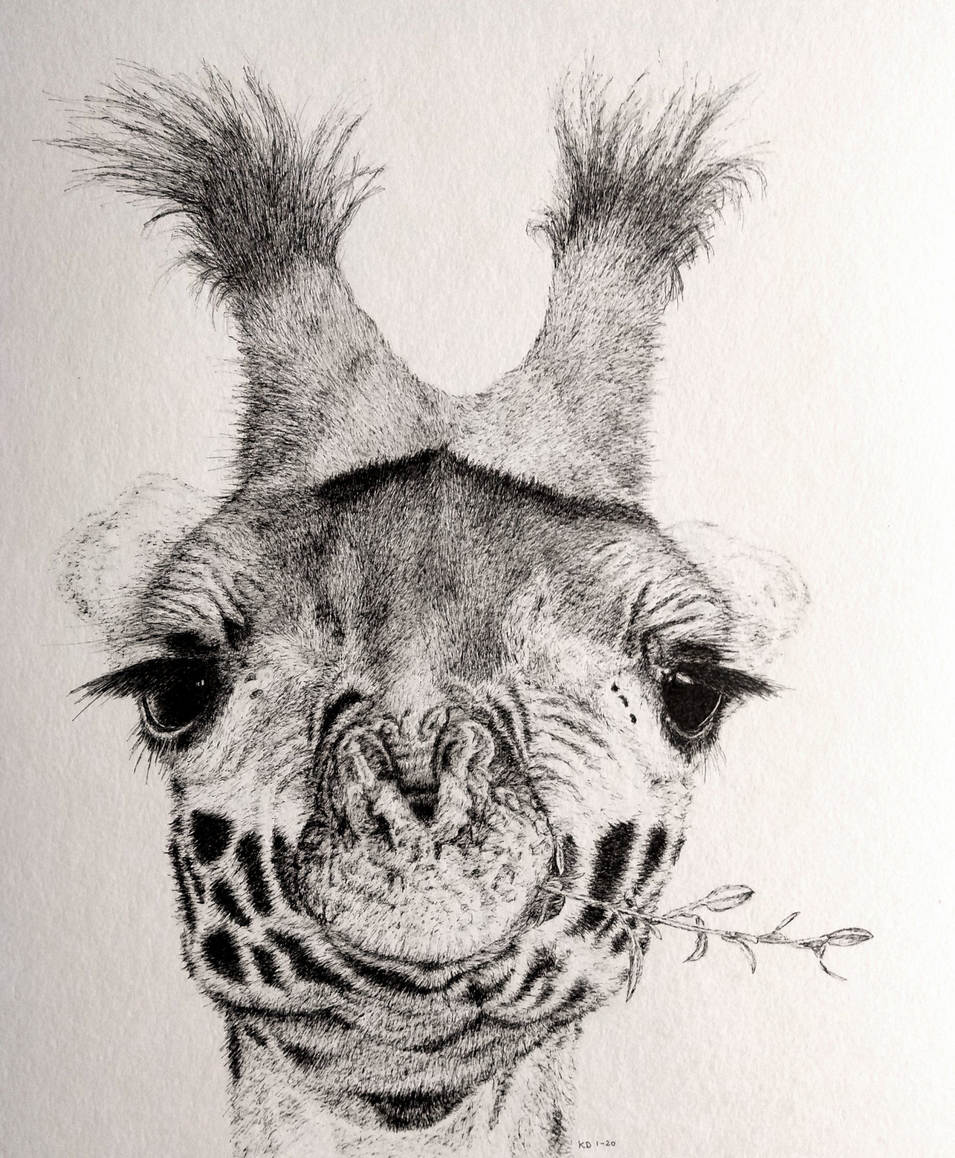 Giraffe