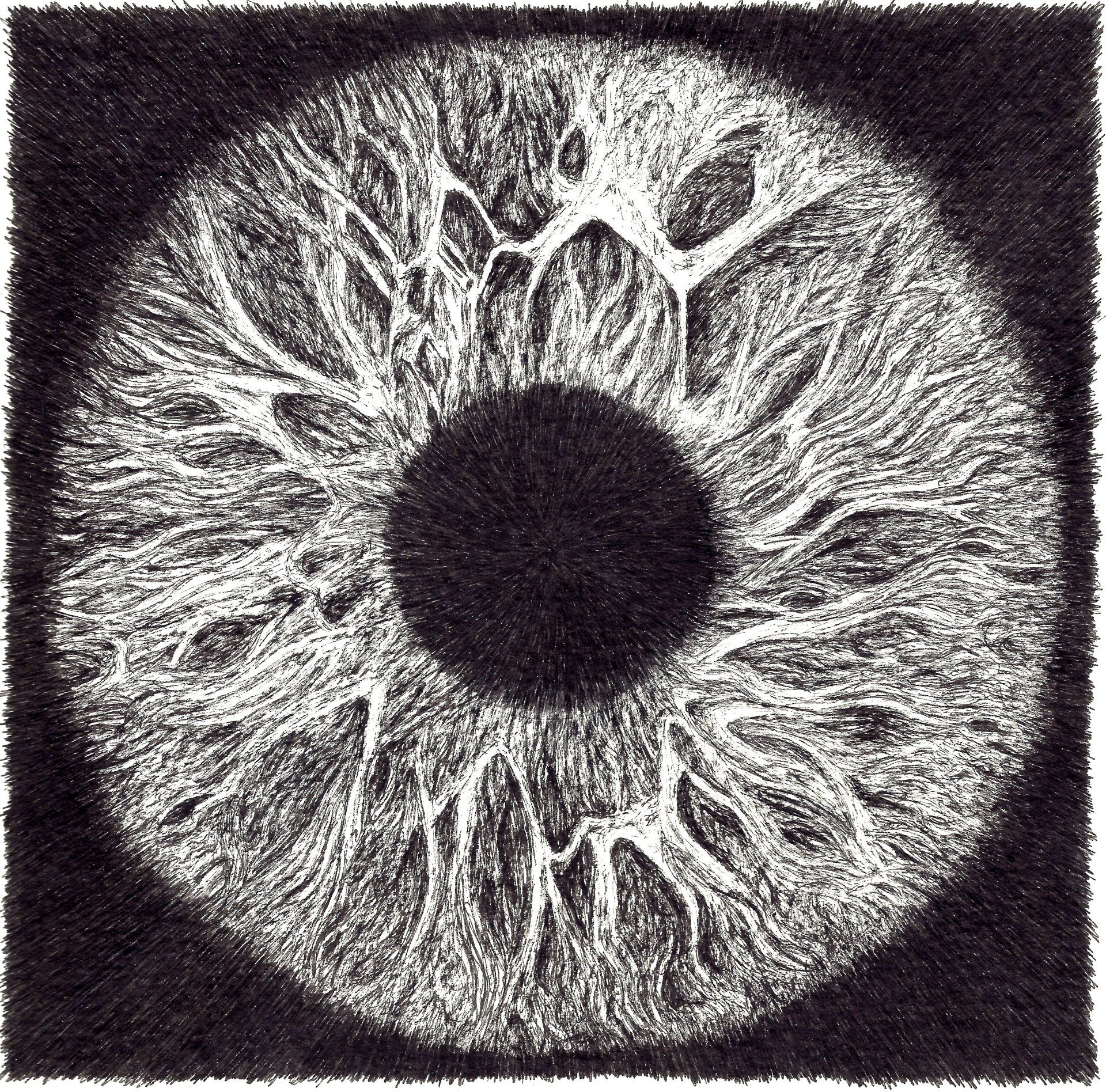 iris