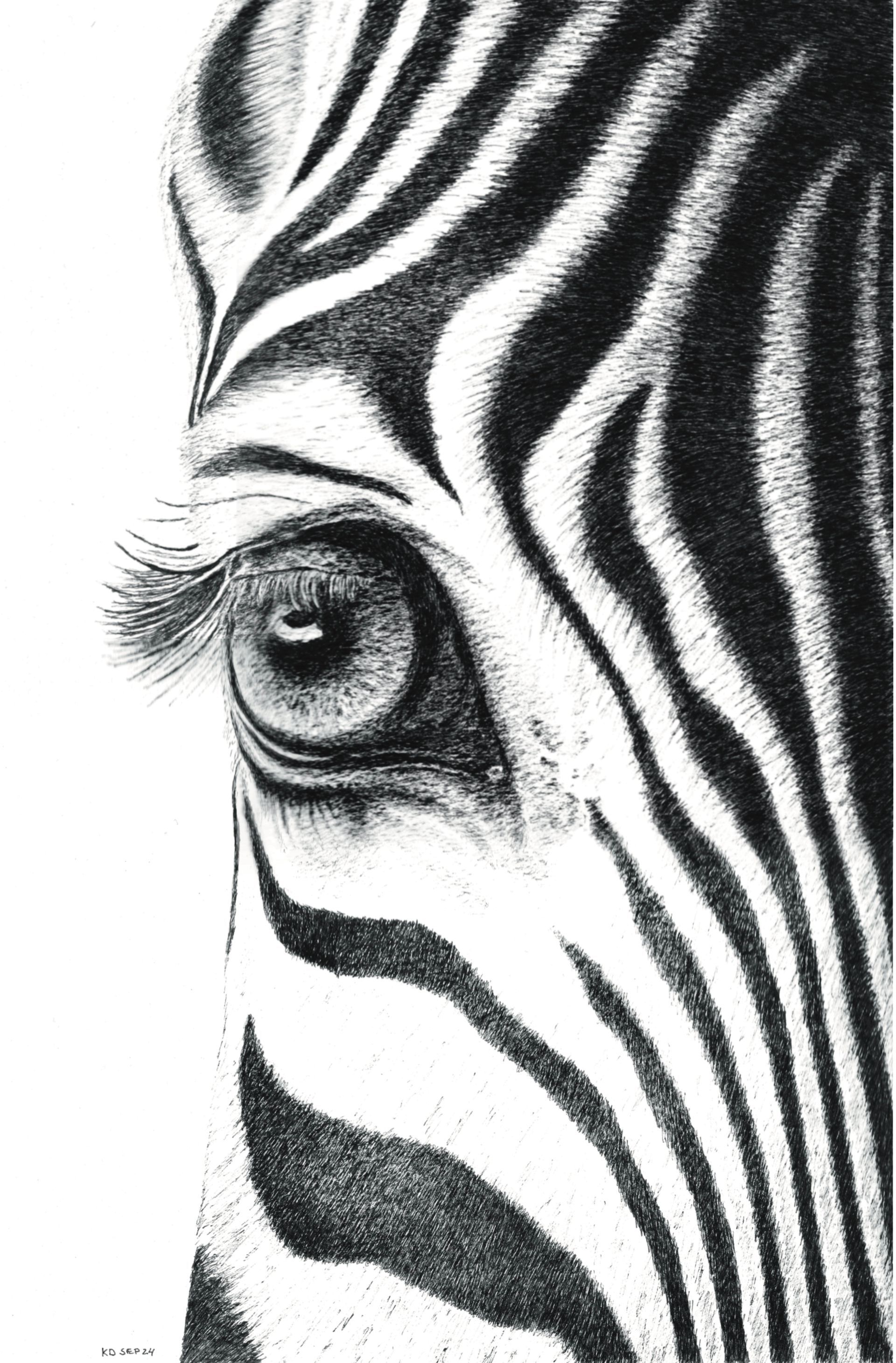 zebra 3