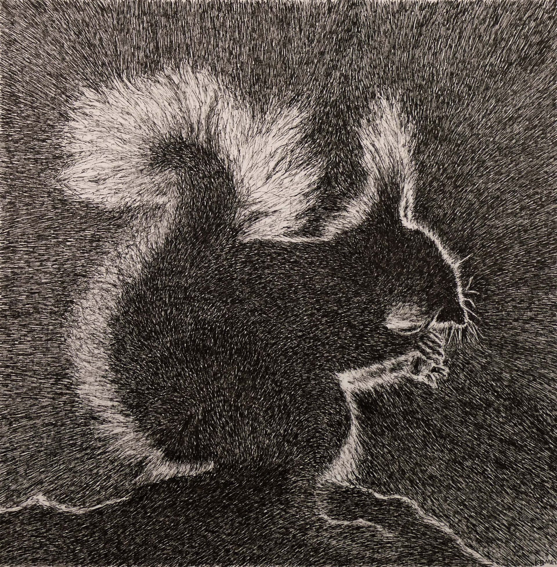 eekhoorn 3