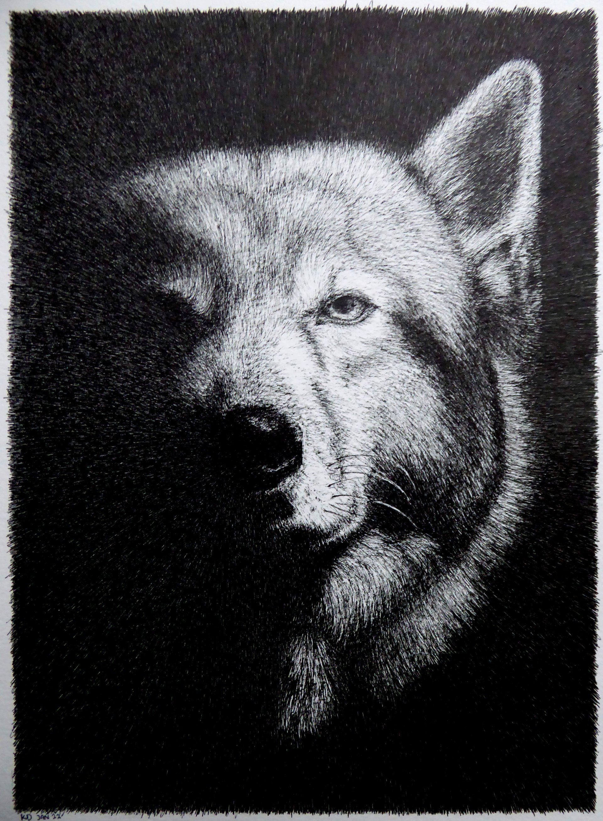 siberische husky