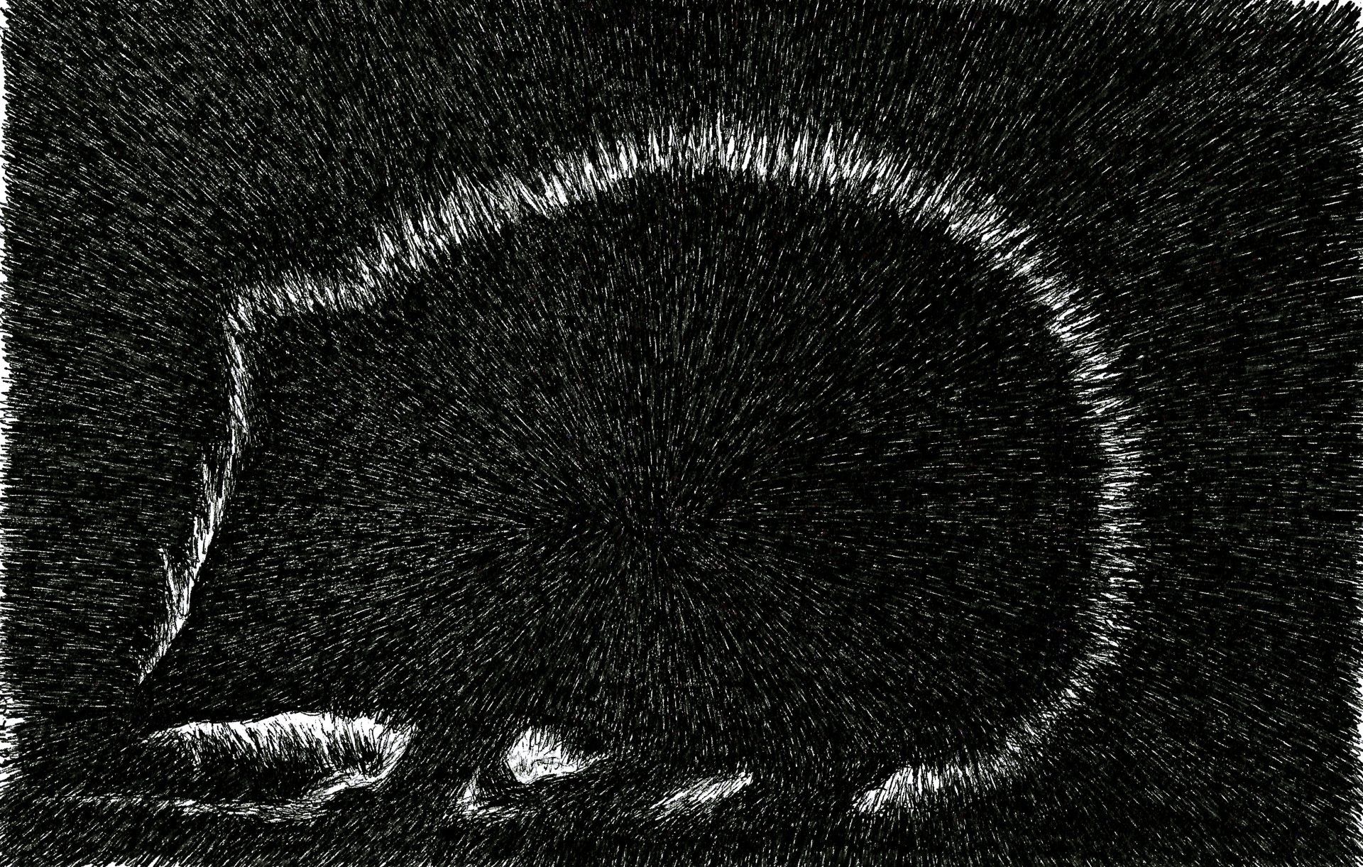 egel 2