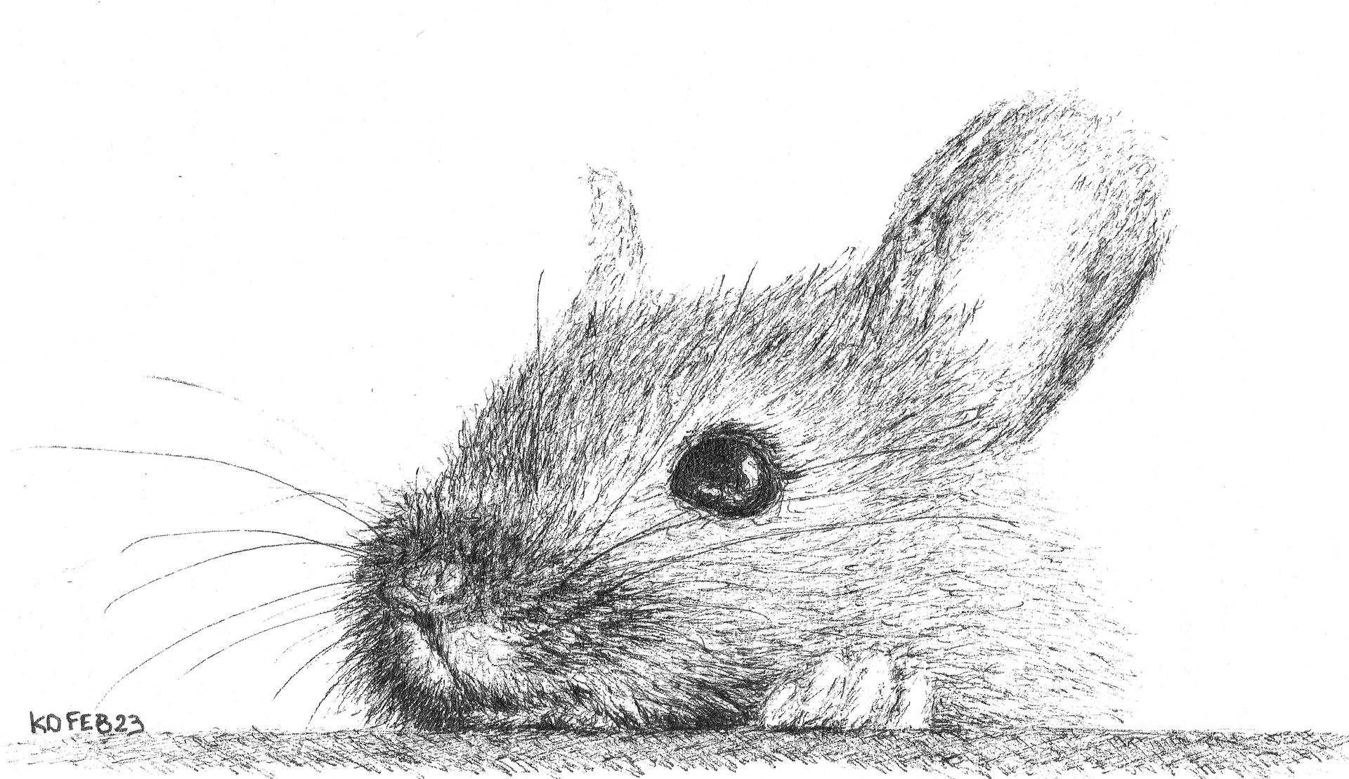 muis aan tafel