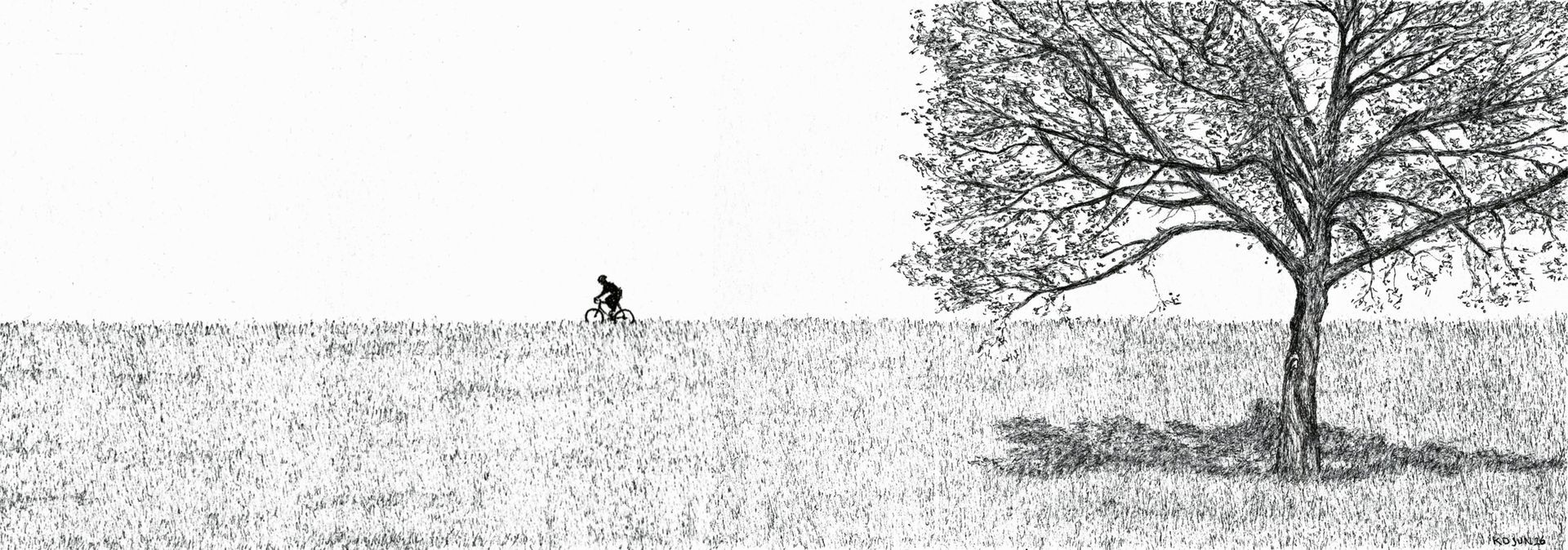 Op de dijk 2