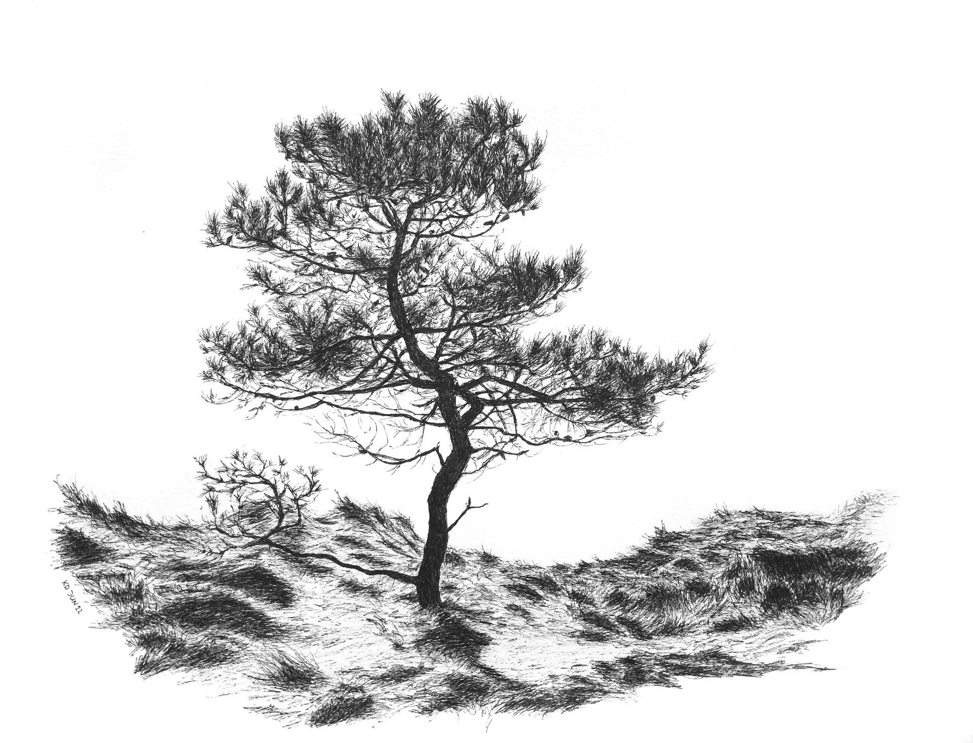 vliegden Terschelling
