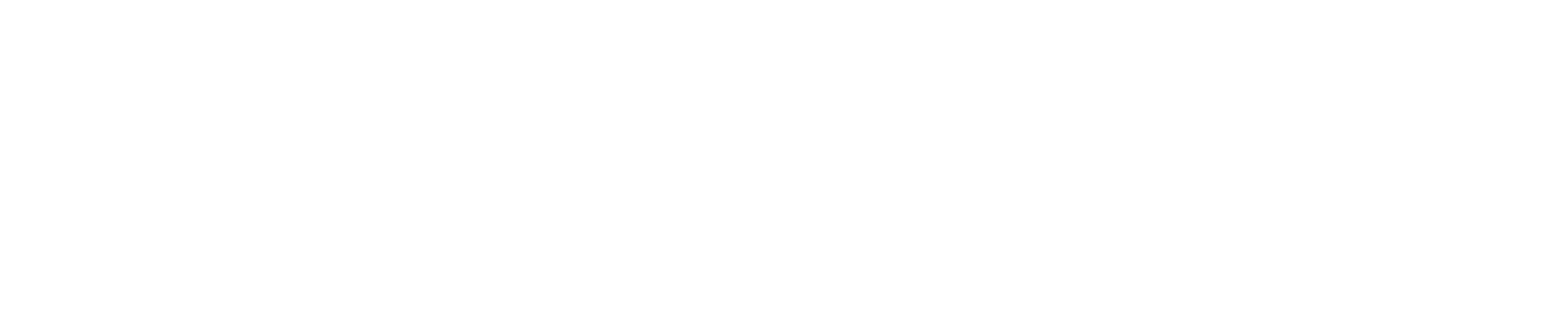 Global Sector Services, Inc. Global Sector Services, Inc.