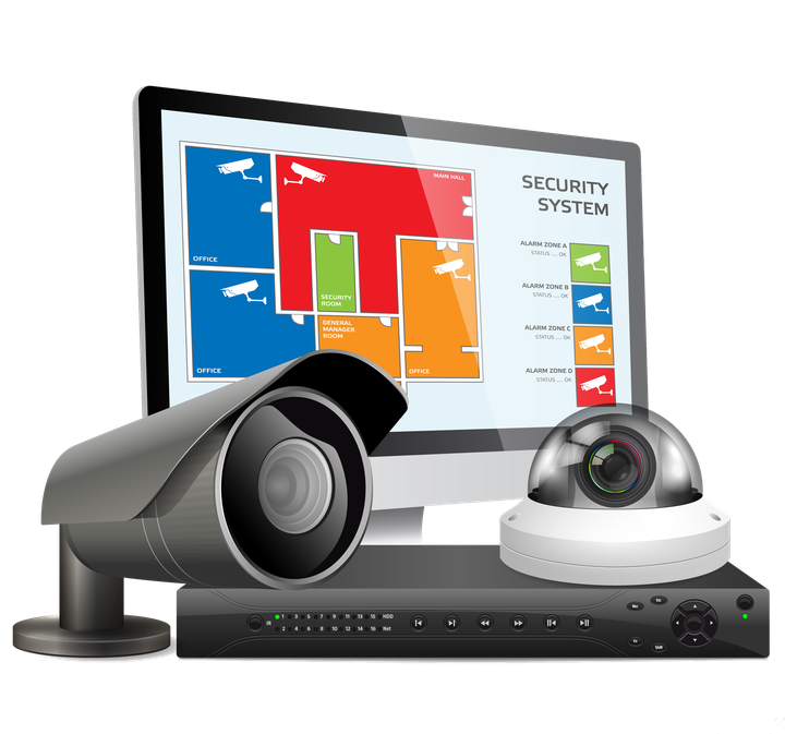 Professional Security Services