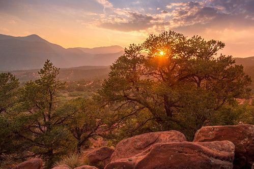 Sunset over mountain range, sun shining through tree branches; red rocks in foreground.