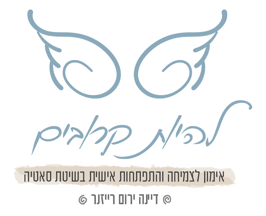 דיינה ירום-רייזנר - לוגו