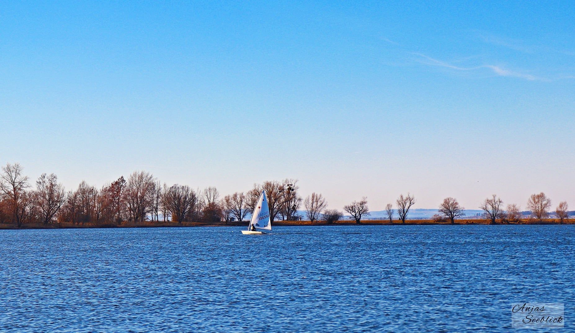 Hard am Bodensee 