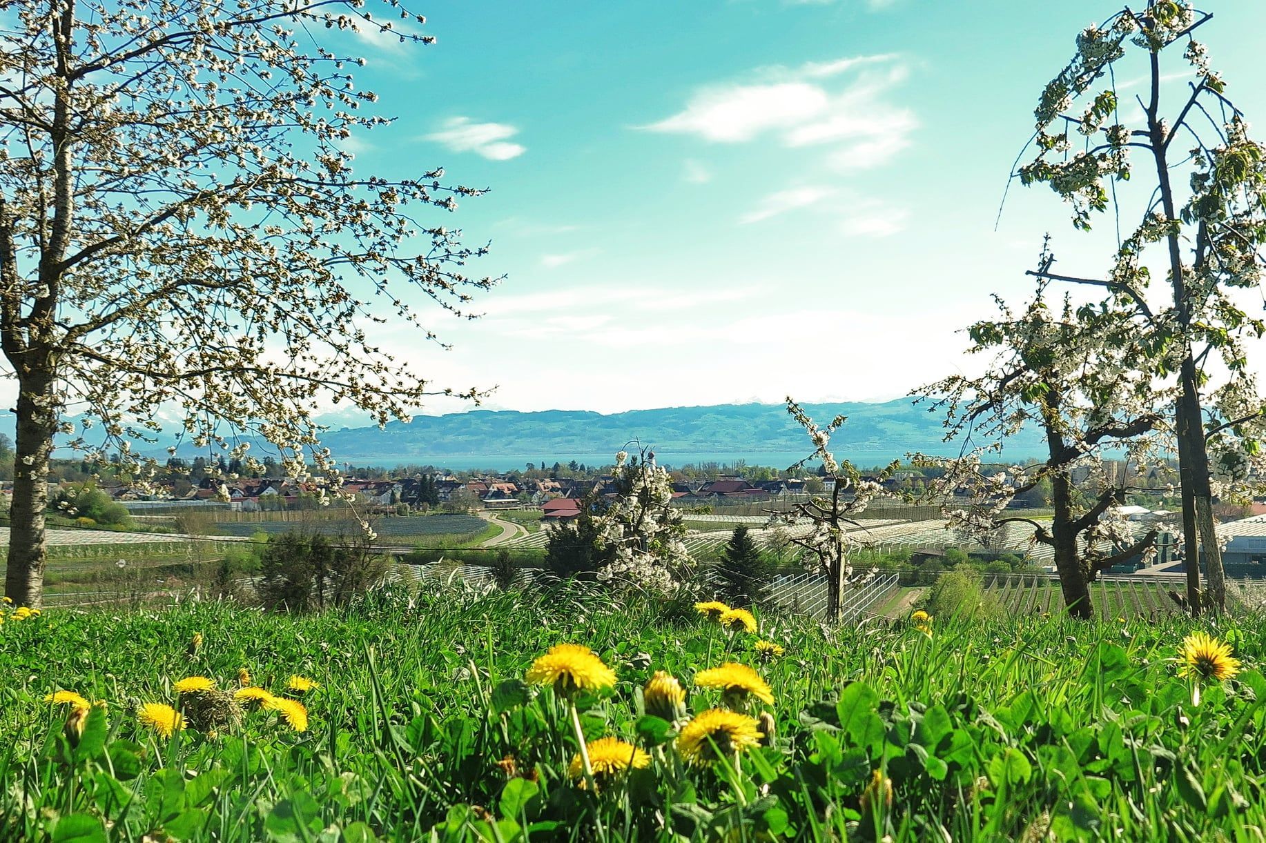Kressbronn Bauernpfad