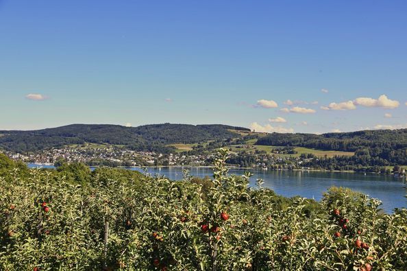 Höhenweg Wangen