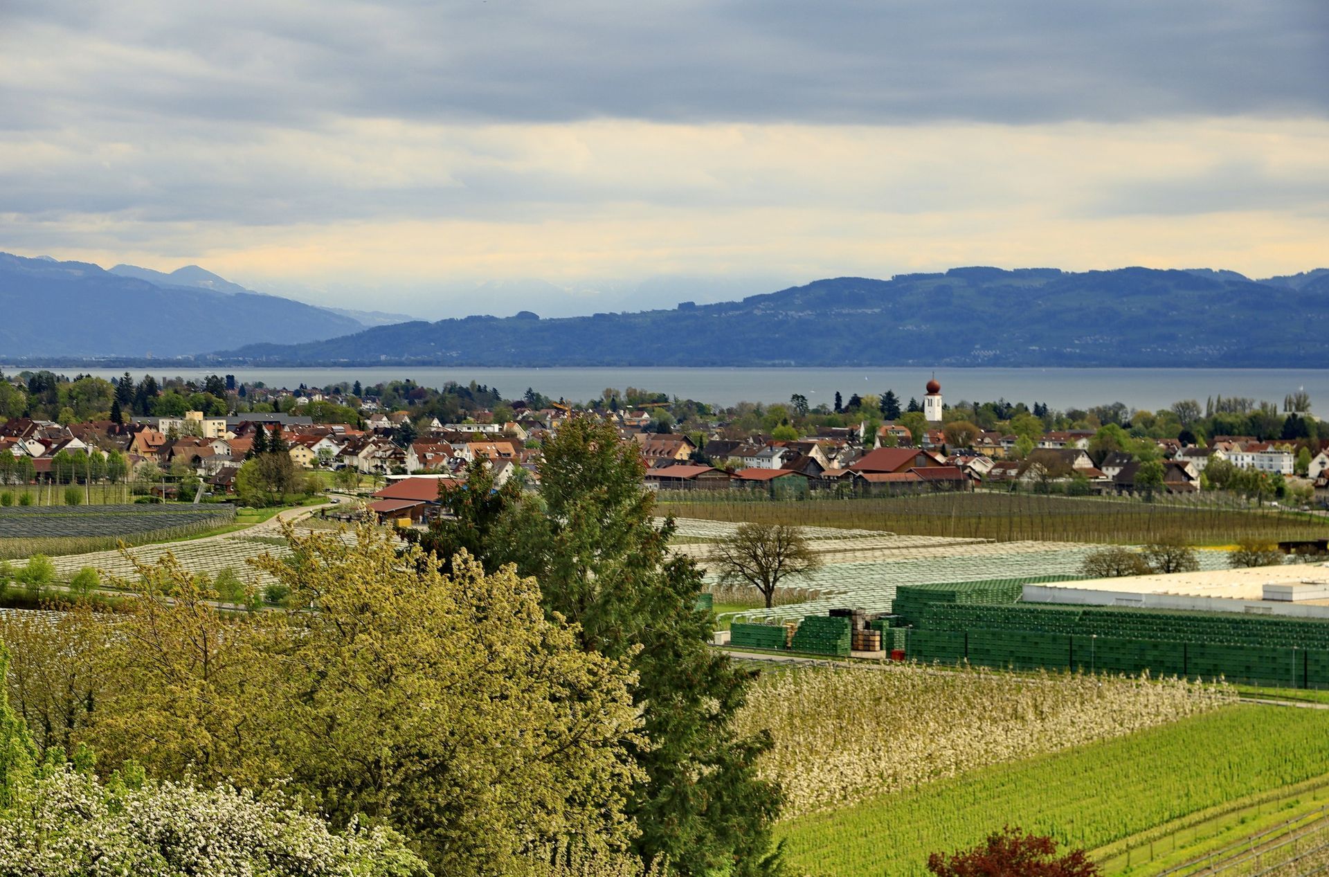 Kressbronn 