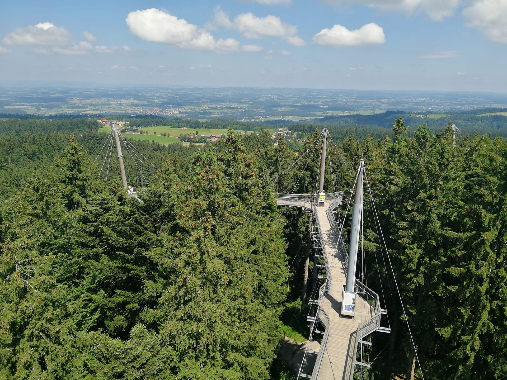 Waldwelt Skywalk 