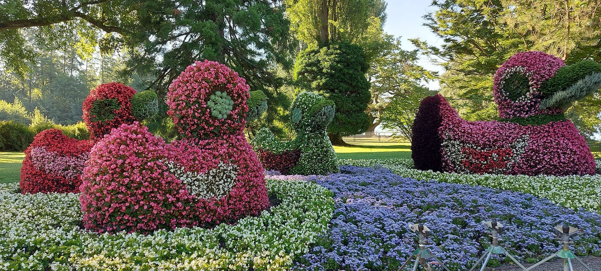 Insel Mainau 