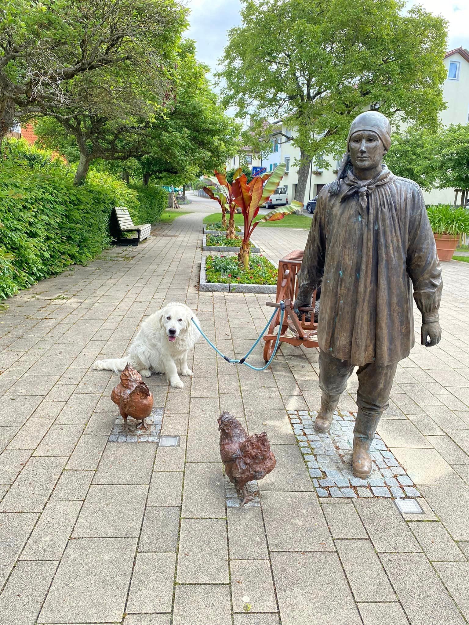 Hund am Bodensee - Urlaub 