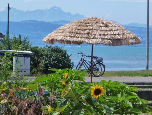 Bodenesee Radweg 