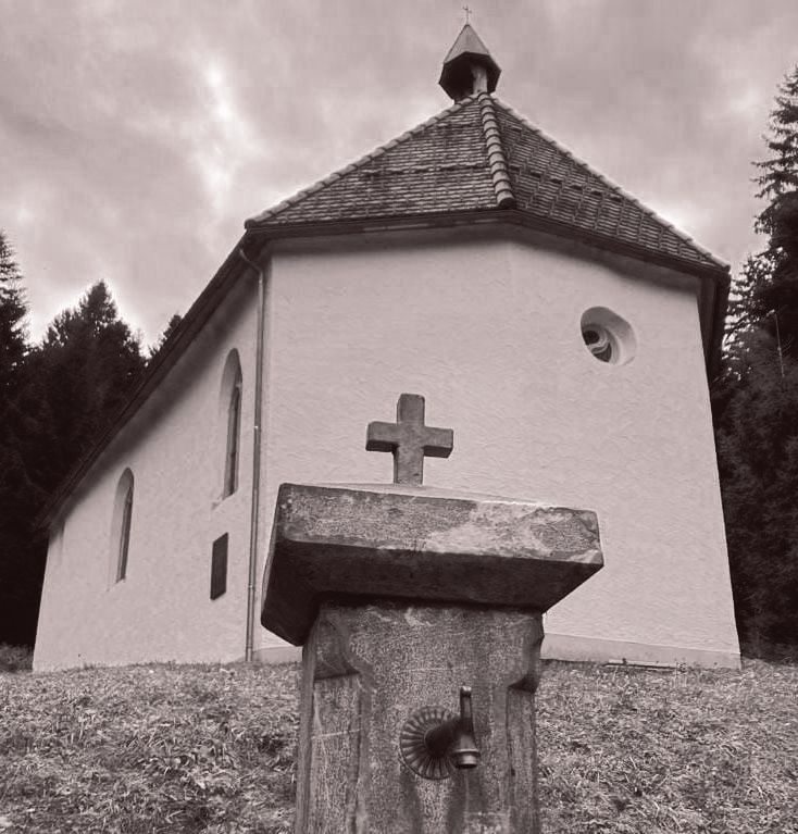 Möggers - Highlight - Bodensee - Urlaub 