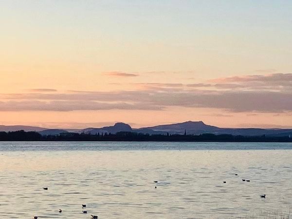 Allensbach am Bodensee 