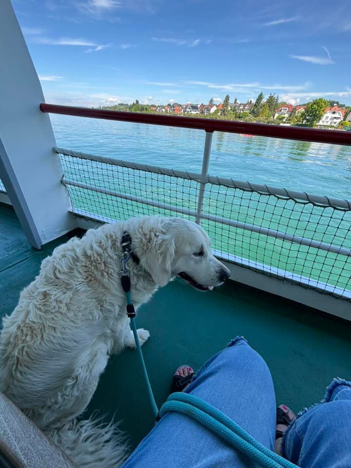 Bodenseehund Max macht Urlaub am Bodensee - Auf dem Schiff