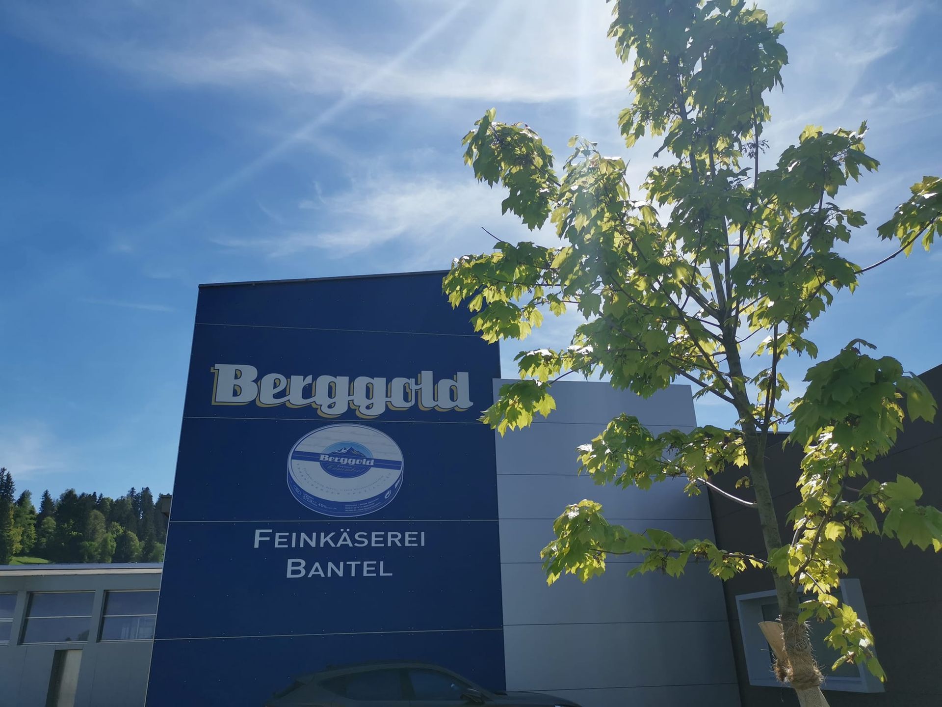 Möggers - Highlight - Bodensee - Urlaub 
