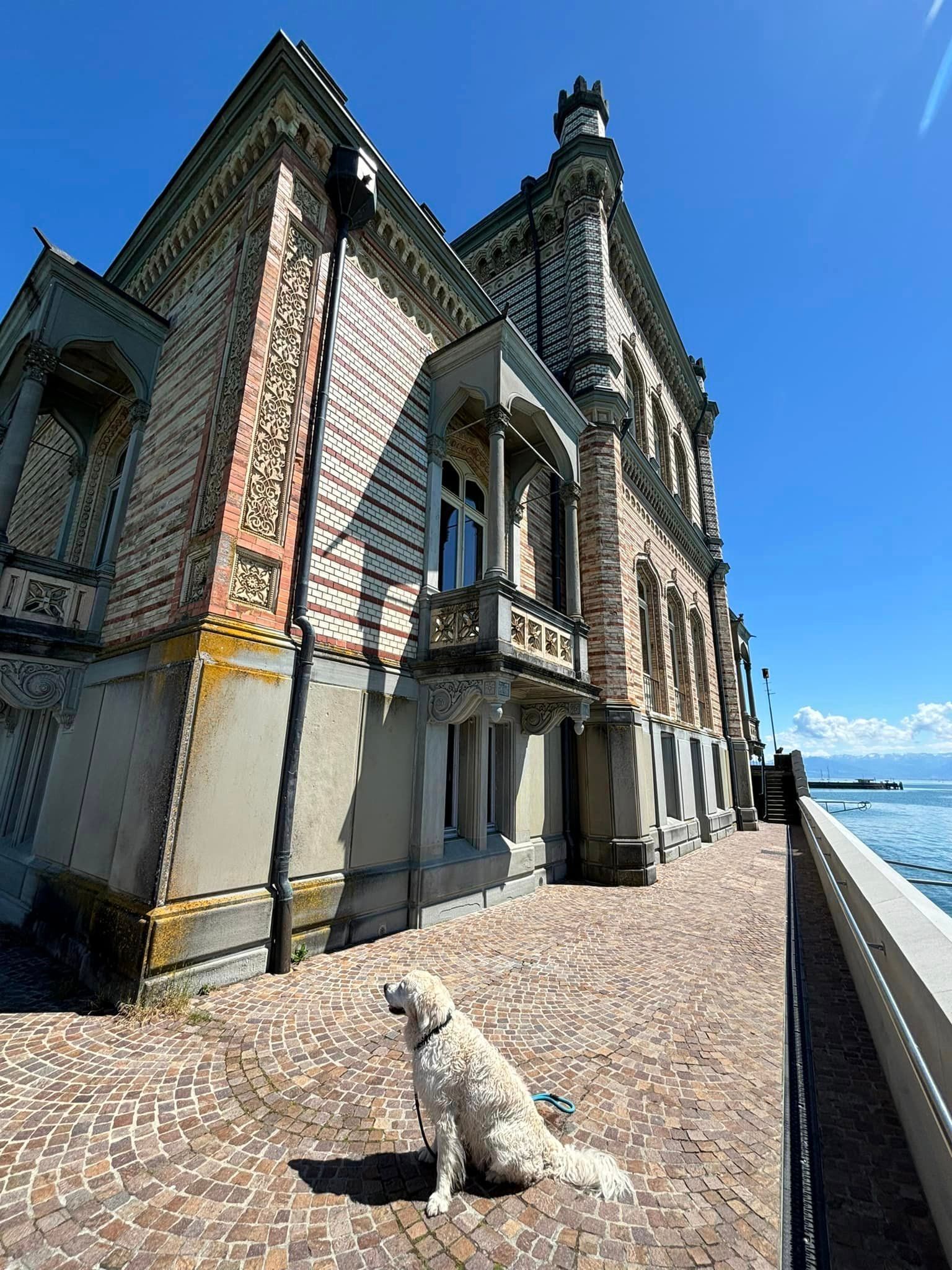 Hund am Bodensee - Urlaub 