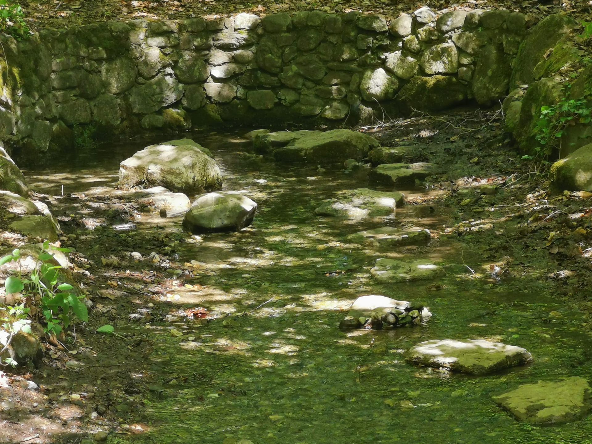 Schussen Ursprung Bad Schussenried 