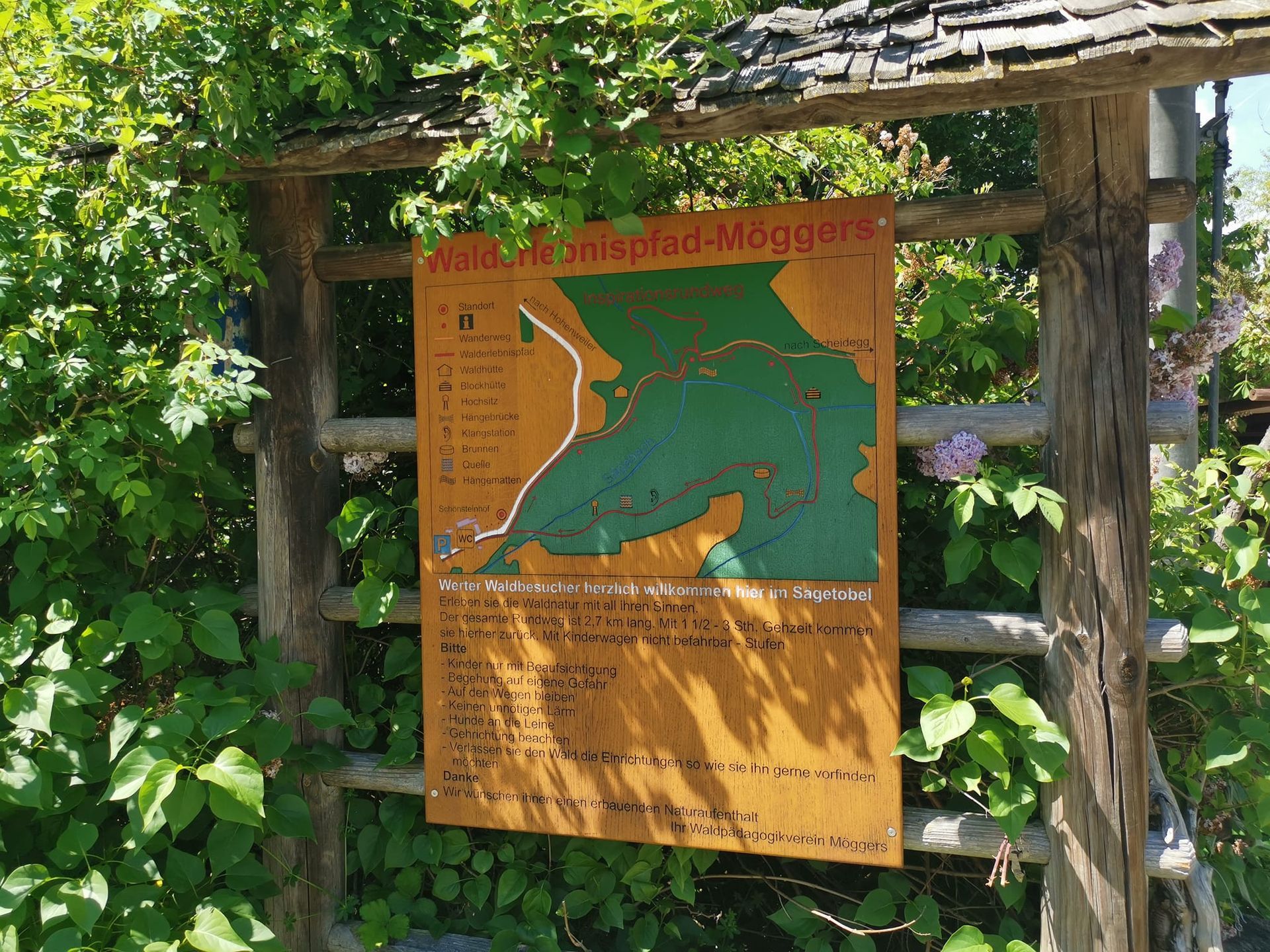 Möggers - Highlight - Bodensee - Urlaub 