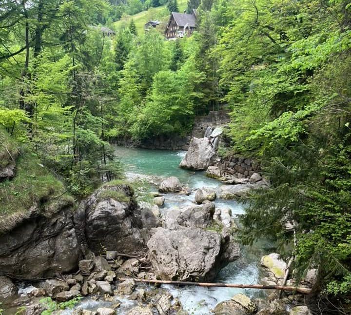 Rappenloch Schlucht . Urlaub am Bodensee 