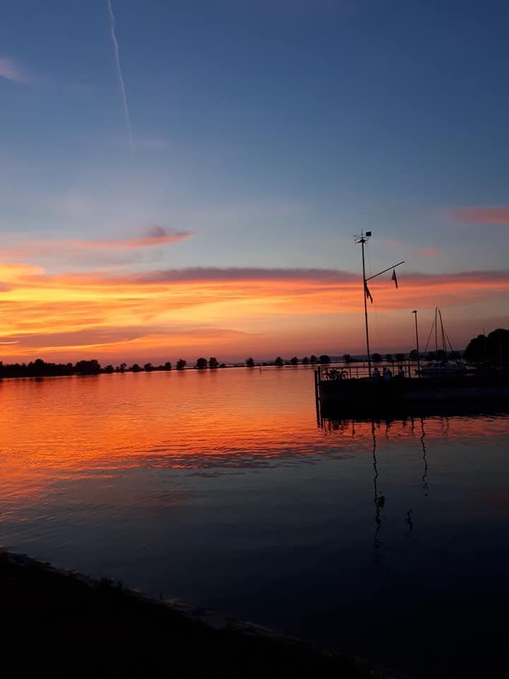 Hard am Bodensee 