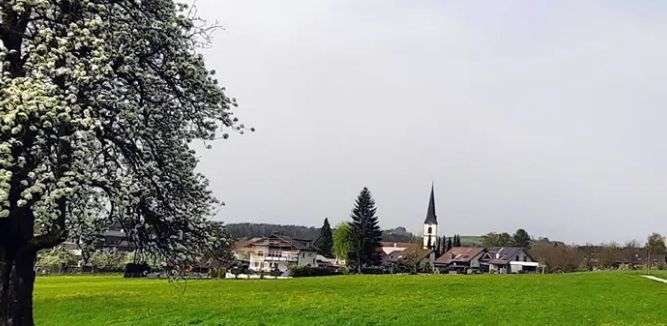 Hörbranz 