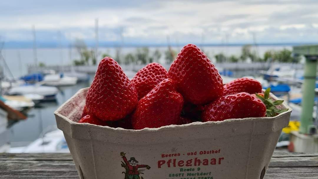 Erdbeeren Pfleghaar