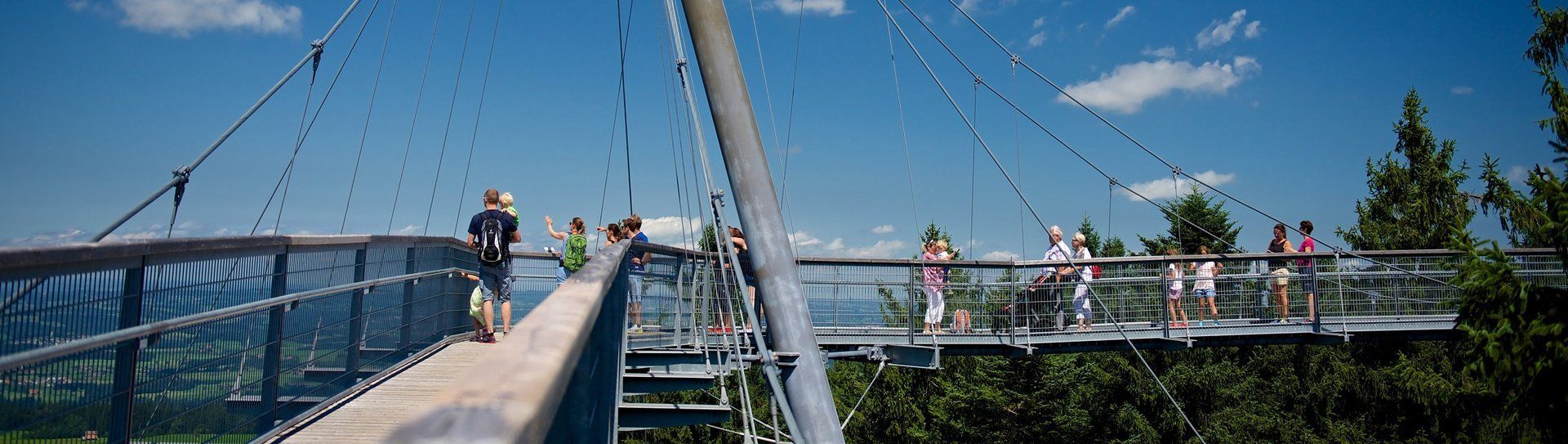 Wald Welt SKYWALK ALLGÄU