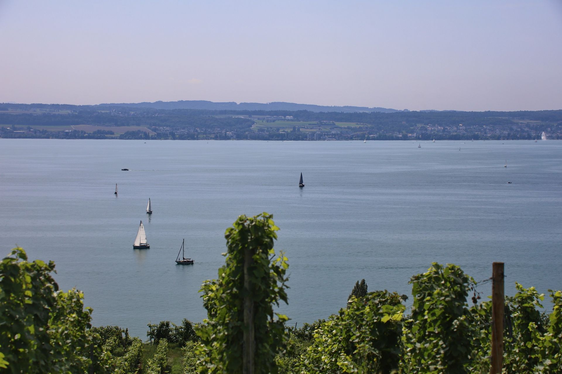 Höhenweg Meersburg Hagnau