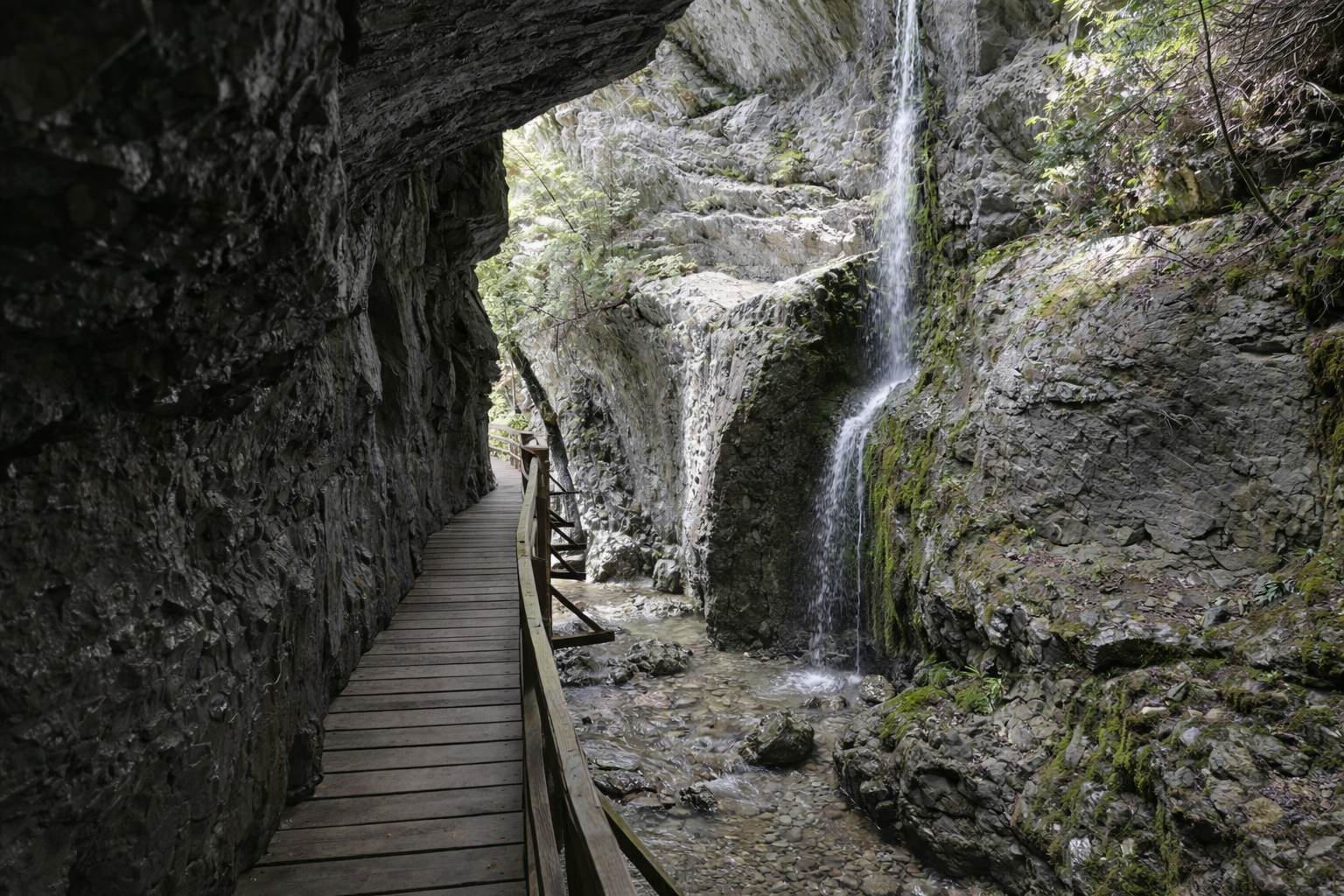Rappenlochschlucht in Dornbirn: Spektakuläre Schlucht in der nähe vom Bodensee