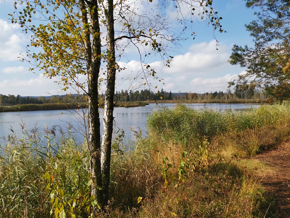 Wurzacher Ried 