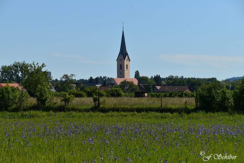 Erisrich 