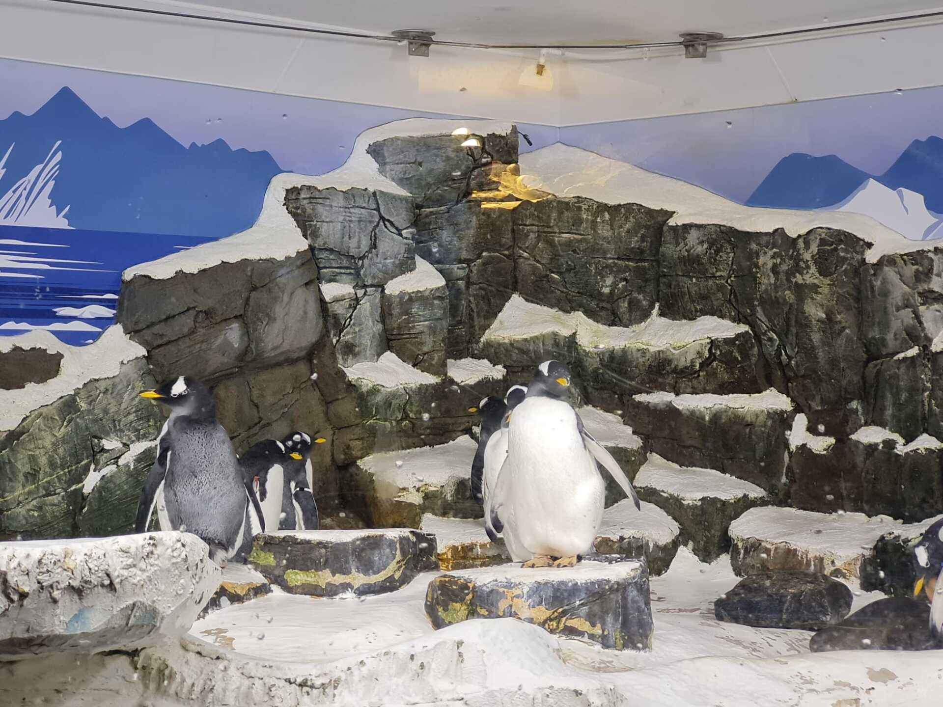 SEALiFE Konstanz