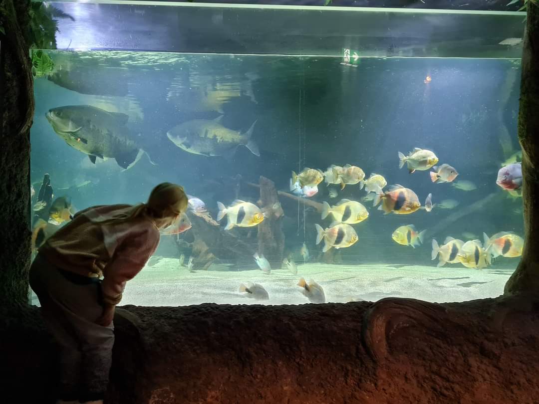 Sealife Konstanz am Bodensee 