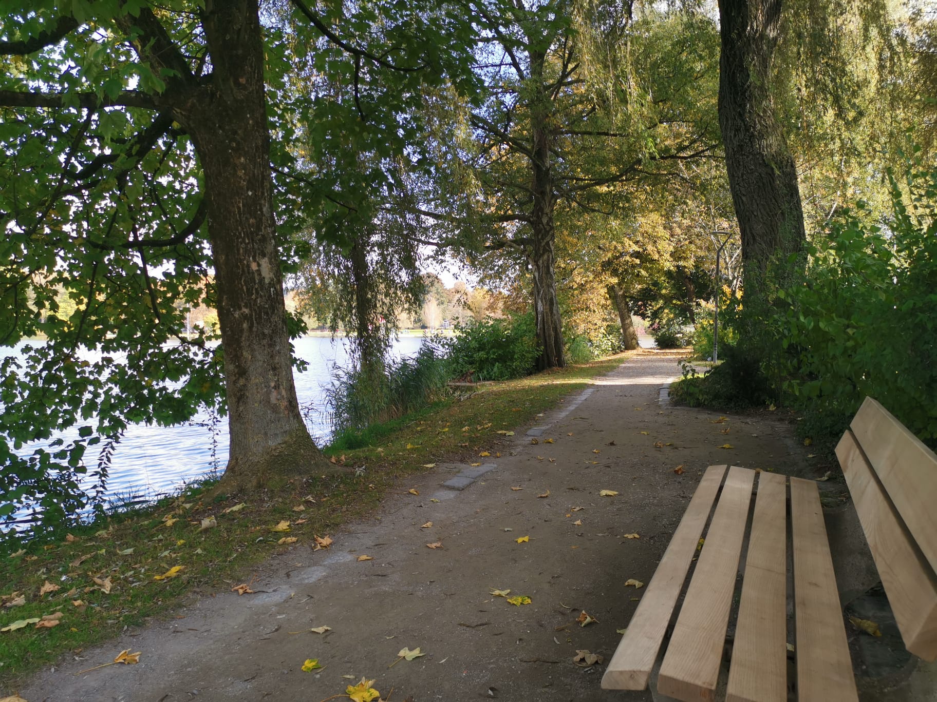 Bad Waldsee in Oberschwaben