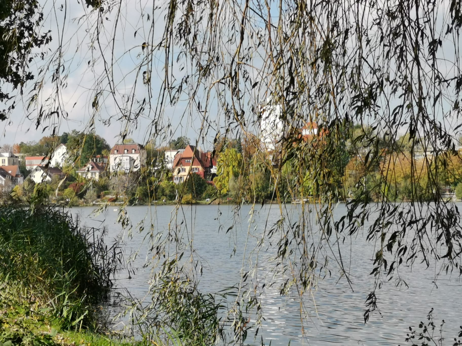 Bad Waldsee in Oberschwaben