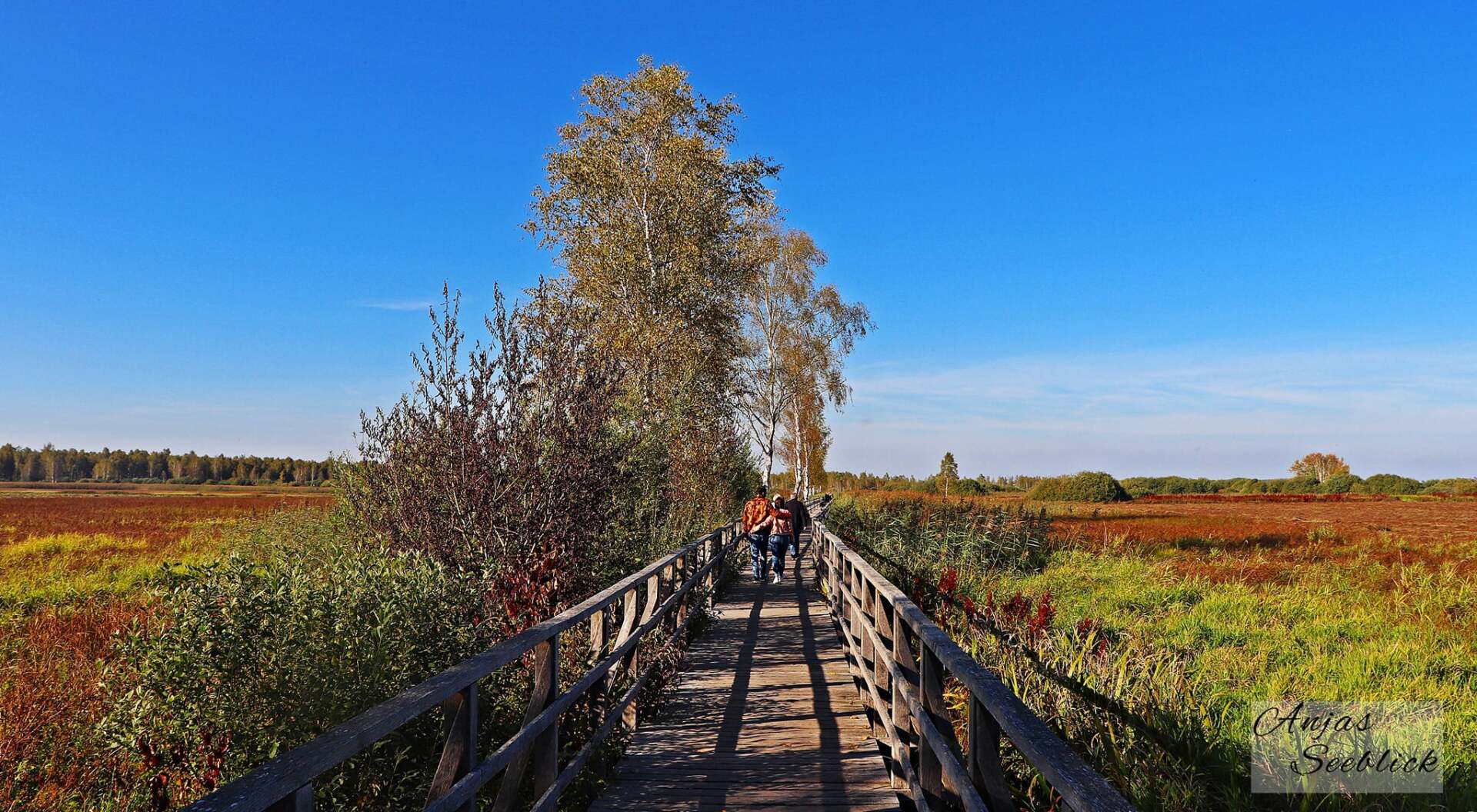 Federsee Bad Buchau Steeg Herbst
